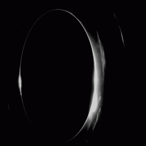 Schzvoid : X II Schzvoid : X II